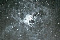NGC253 (Allan)