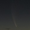 Comet McNaught
