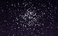 m11 (Allan)